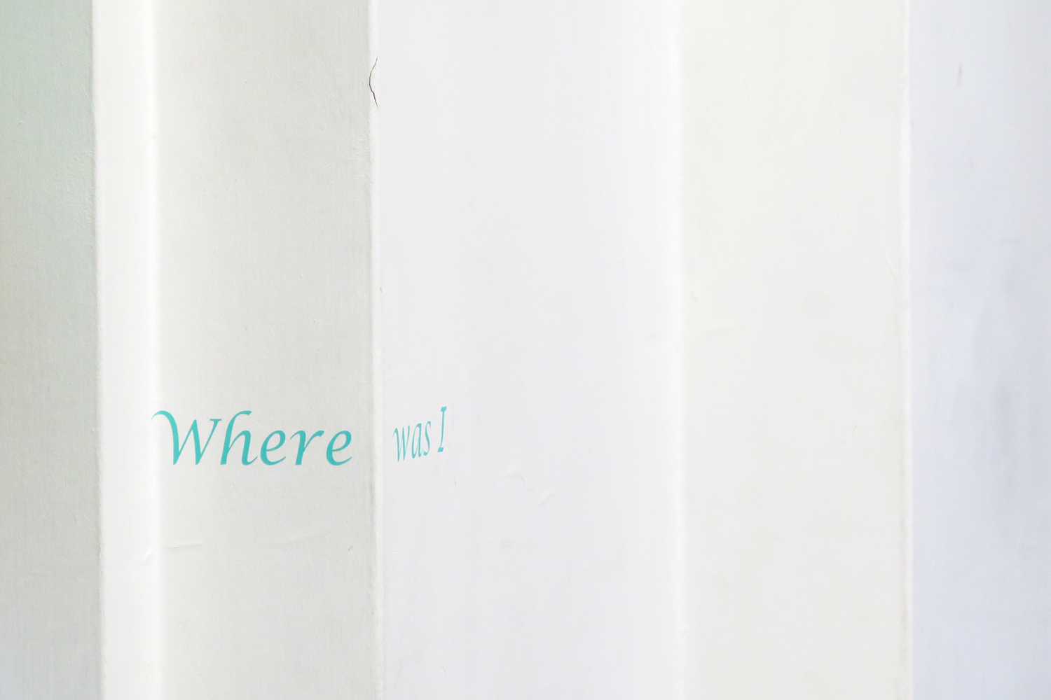 w2-IMG_0560adj w2-IMG_0560adj