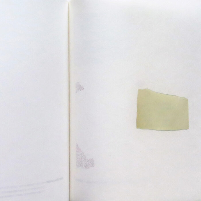 w4 Conservation Report w4 Conservation Report